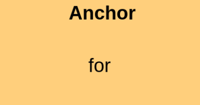 Need Female Anchor for Birla Event