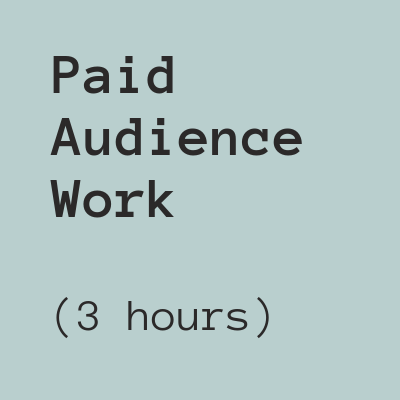 Paid Audience Work