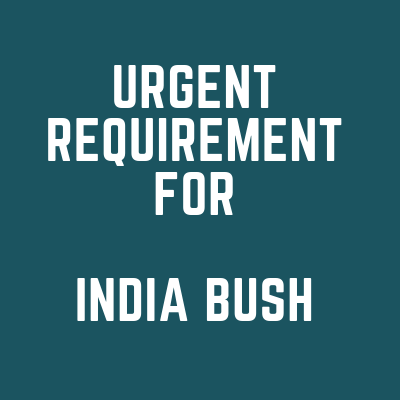urgent requirement for india bush