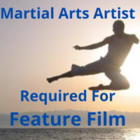 Martial arts artist required for feature film