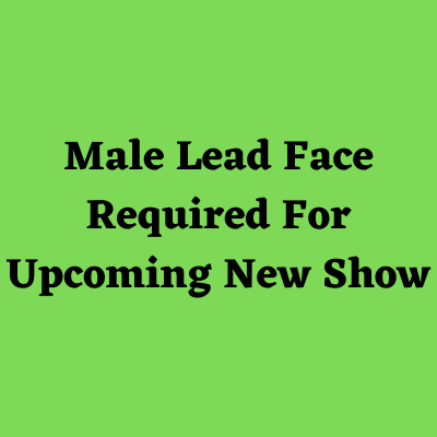Lead face artist for upcoming new show casting from SK Casting Company