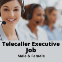 Hiring open for 'Telecaller Executive' job