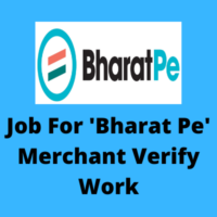 Job for 'Bharat Pe' merchant verify work