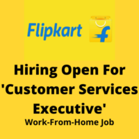 Hiring open for 'Customer Services Executive'