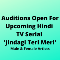 Auditions Hindi TV serial 'Jindagi Teri Meri'