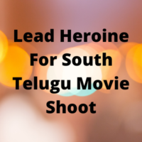 Lead heroine for South Telugu movie shoot