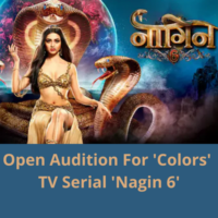 Open audition for 'Colors' TV serial 'Nagin-6'
