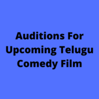 Auditions for new Telugu comedy film