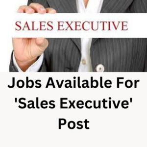 Jobs available for 'Sales Executive' post