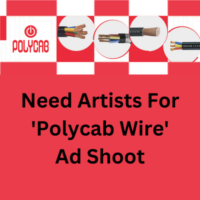 Need artists for 'Polycab Wire' ad shoot