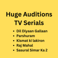 Huge auditions for upcoming TV serials
