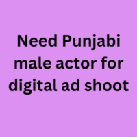 Need Punjabi male actor for digital ad shoot