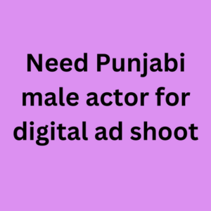 Need Punjabi male actor for digital ad shoot