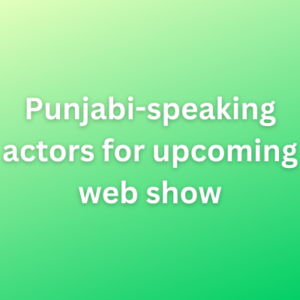 Punjabi-speaking actors for upcoming web show