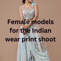 Female models for the Indian wear print shoot